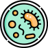 microbial-culture