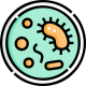 microbial-culture